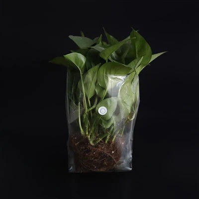 Poly Grow Tašky pre rastliny